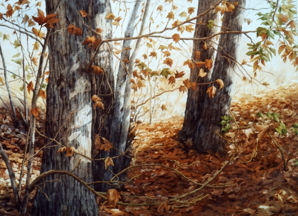 4f1XM1pOtIPJvNystfDrIFAD8hUqamhzMvEPRgGq