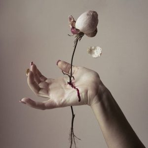 دوره آموزش اجزای چهره با تکنیک مدادرنگ